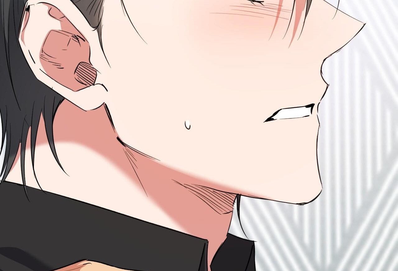 những chú thỏ của hapypy chapter 61 10