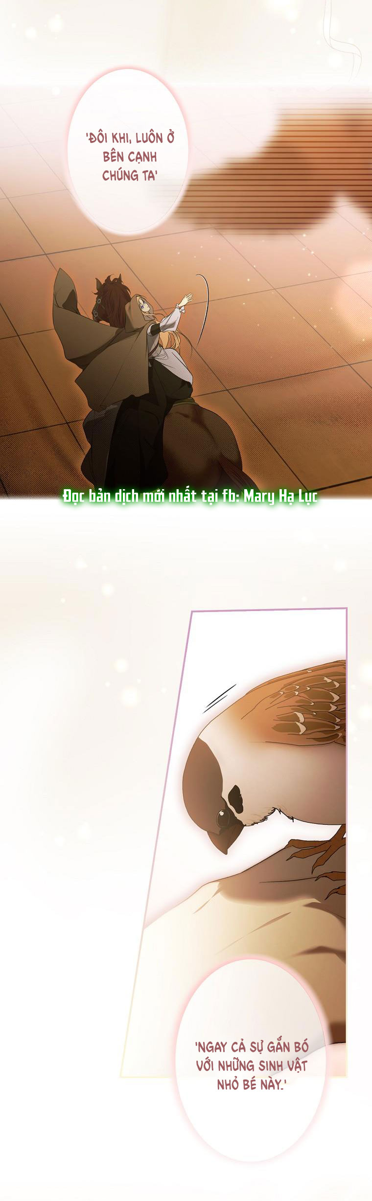 quý cô bí ẩn - secret lady chapter 77.2 12