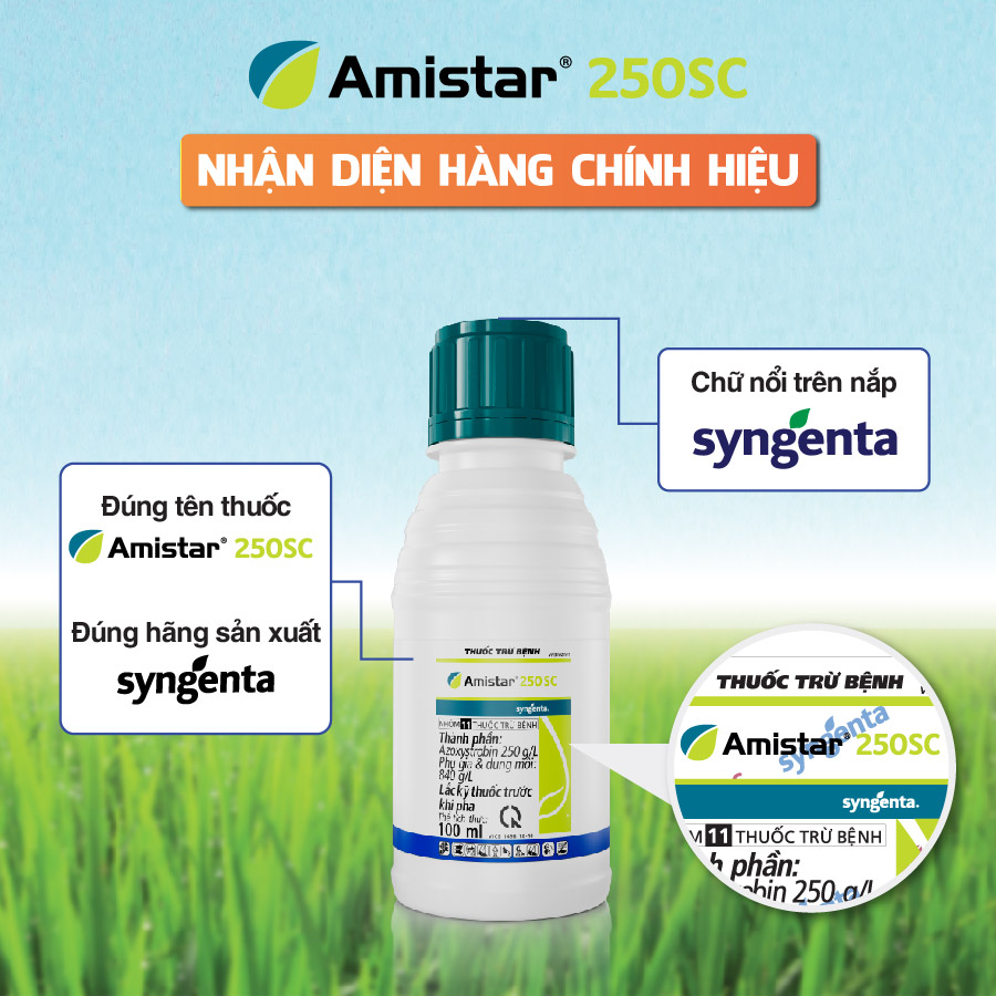 Thuốc trừ bệnh Amistar 250SC 100ml chính hãng Syngenta