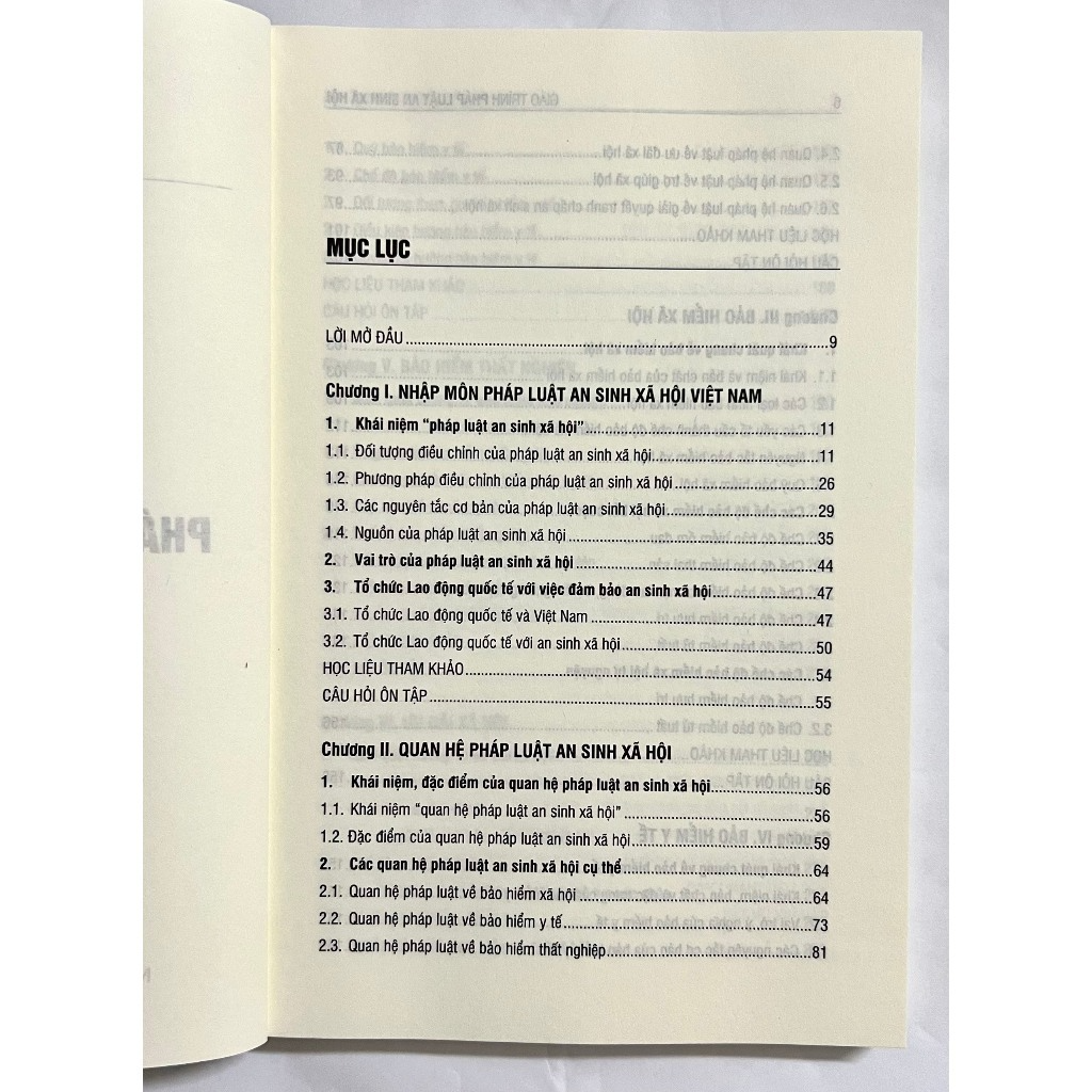 Sách - Giáo Trình Pháp Luật An Sinh Xã Hội (Tái Bản Lần 2)