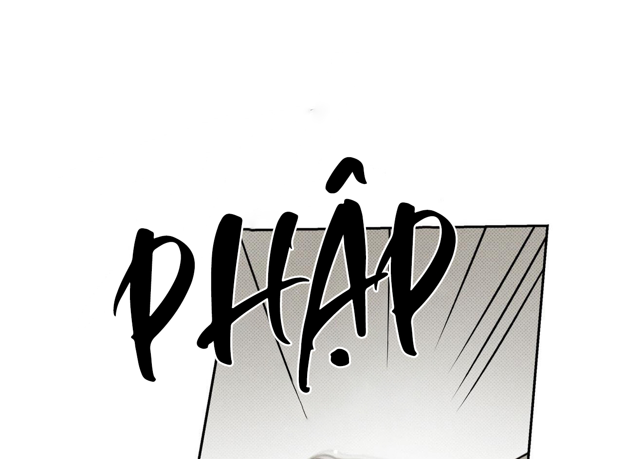 chàng giao pizza và gold palace chapter 46 71