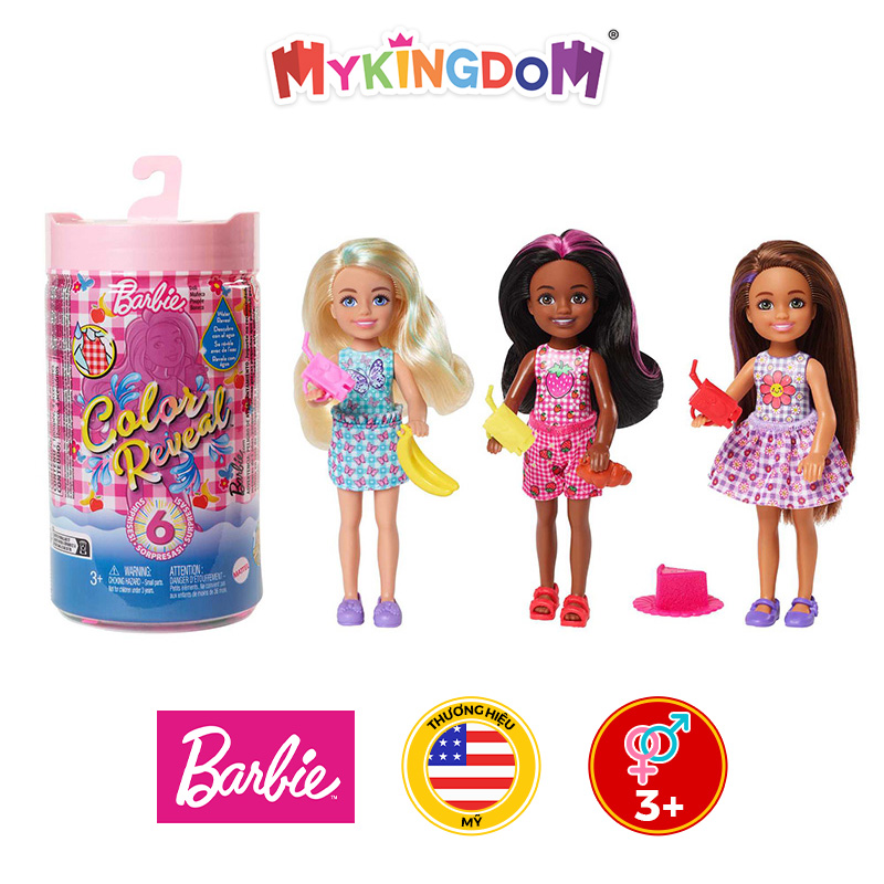 Đồ Chơi BARBIE Búp Bê Chelsea Đổi Màu- Phiên Bản Thời Trang Picnic HKT81