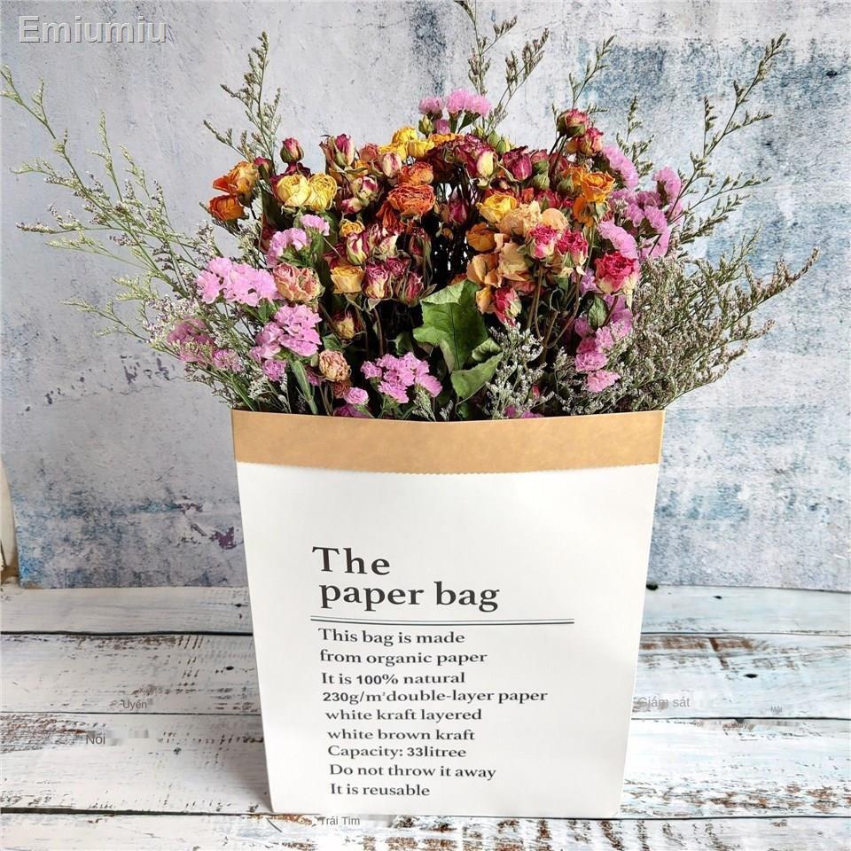 ❆❁Forget me not Hoa khô Gypsophila phong cách Bắc Âu túi giấy lớn đặt trang trí phòng khách trang trí phòng khách