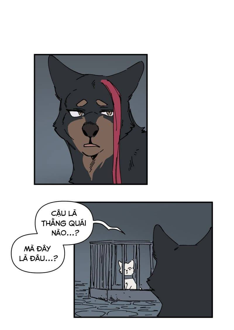lumine - cội nguồn ánh sáng chapter 143 8