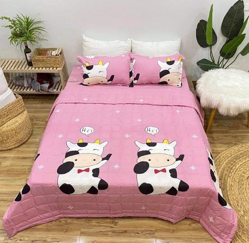 Bộ Chăn Ga Gối Cotton Hè Thu Giá Rẻ