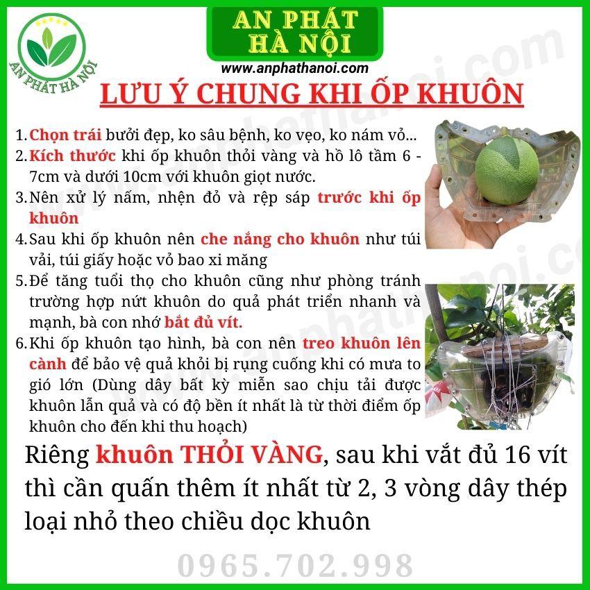 Khuôn Bưởi thỏi vàng số 3 - Bưởi Da Xanh - Khuôn tạo hình trái cây loại đẹp, dày, bền, in chữ TÀI LỘC