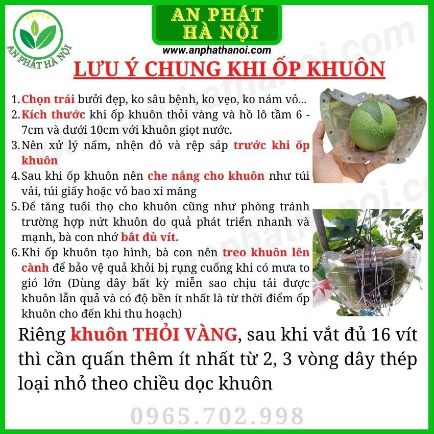 Khuôn Bưởi thỏi vàng số 1 - Khuôn tạo hình trái cây loại đẹp, dày, bền, in chữ nổi TÀI LỘC