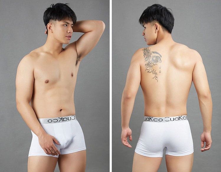 COMBO 4 quần lót nam chất cotton thoáng mát, quần sịp nam Boxer trẻ trung, hiện đại AVI - 388