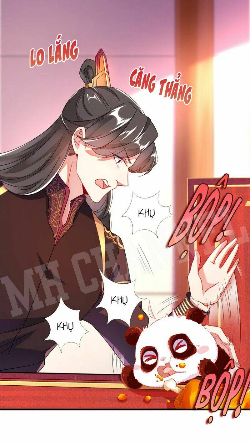 thiên thần gấu trúc muốn được ôm chapter 12 10