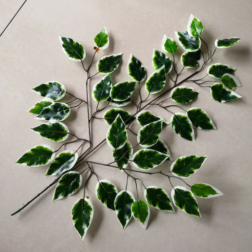 Cành lá si giả - Size 55cm - 3 nhánh - Cây giả, hoa lụa Decor trang trí nhà cửa