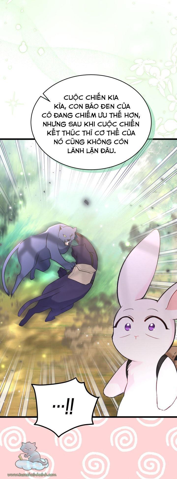 quan hệ cộng sinh giữa báo đen và thỏ trắng chapter 61 40