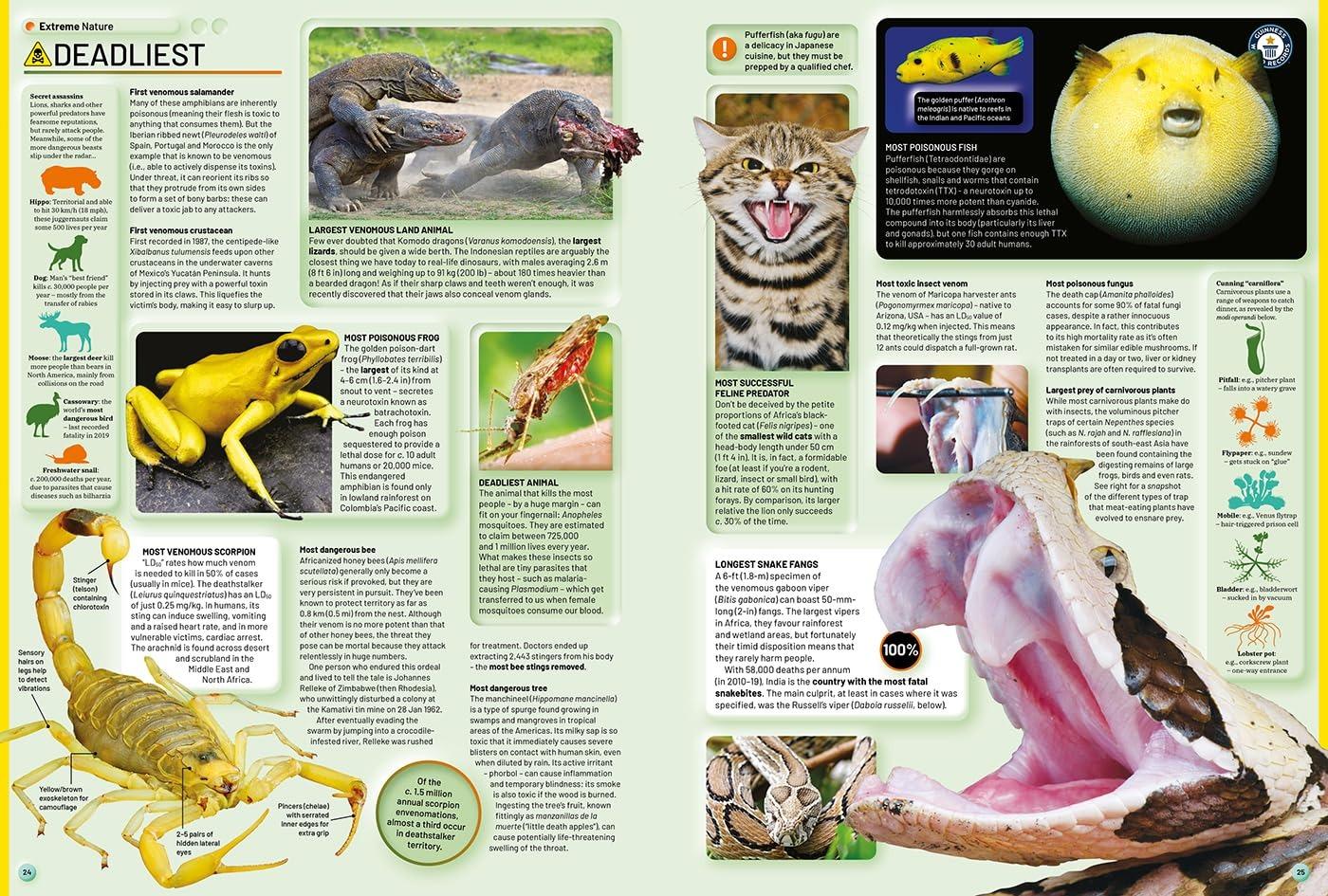 Sách ngoại văn: Guinness World Records 2026