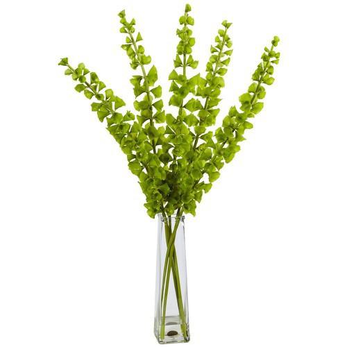 Hạt giống Hoa Lỗ băng vỏ sò tỷ lệ nảy mầm cao