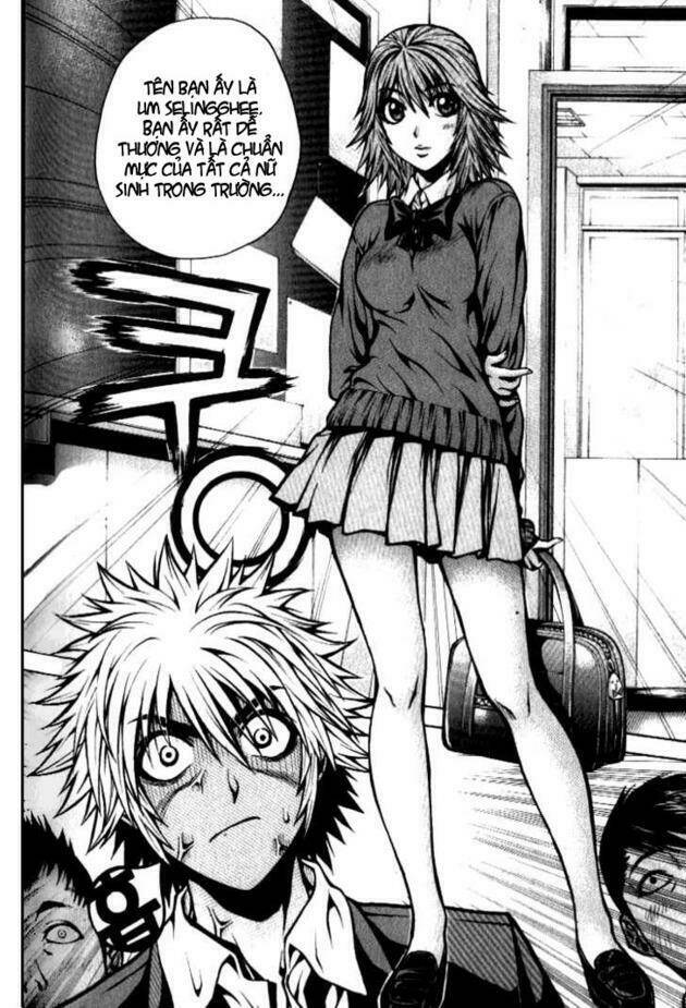 zippy ziggy chapter 3 13