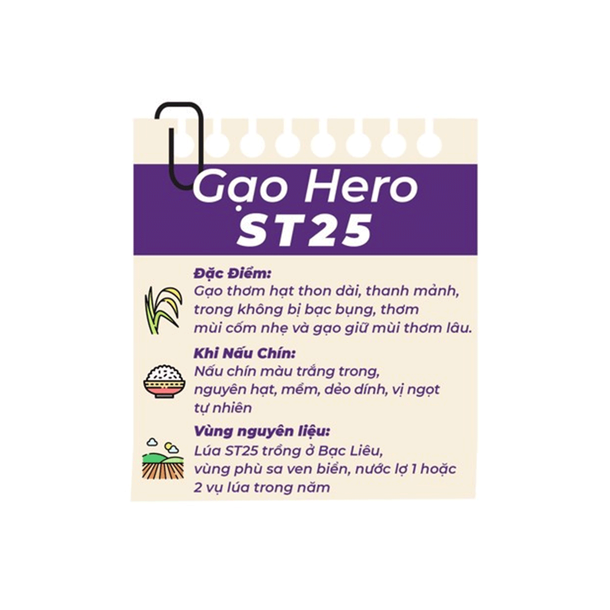 Combo 5KG Gạo Basmati + 5KG Gạo Thơm Hero ST25 Angel Foods