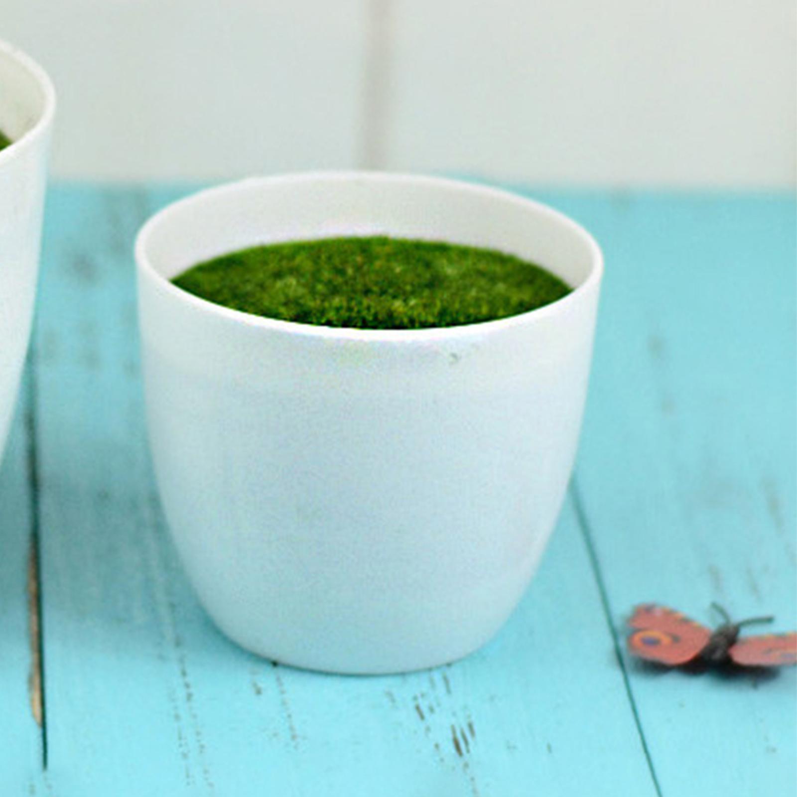 Artificial Potted Plant Decoration Ornament Bonsai Office Home Outdoor