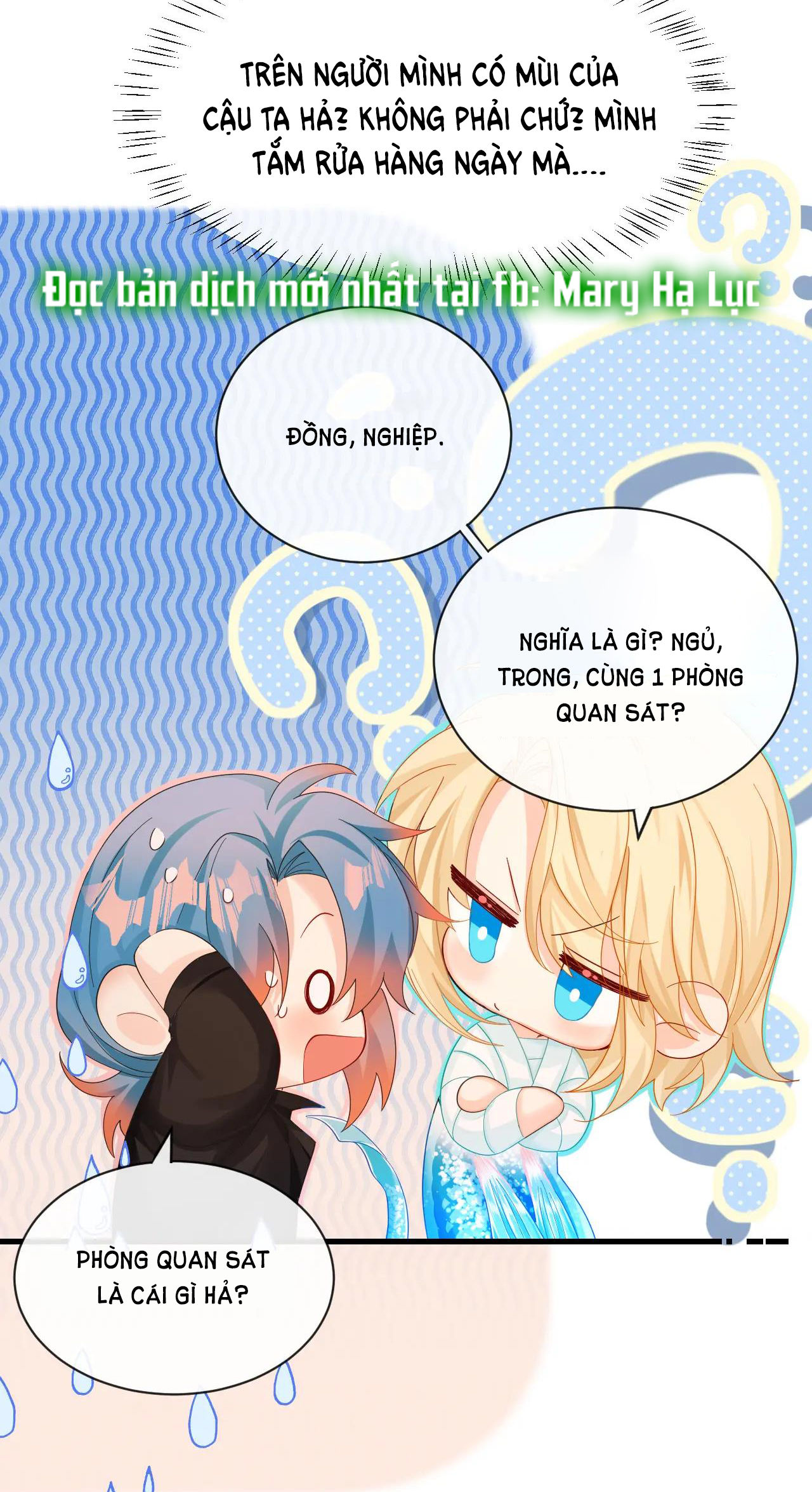 nhân ngư sa ngã chapter 42.2 19