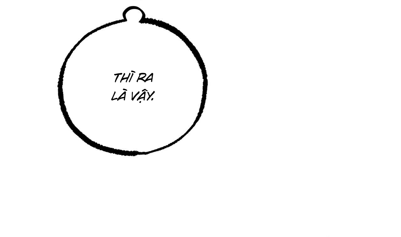 những chú thỏ của hapypy chapter 53 155