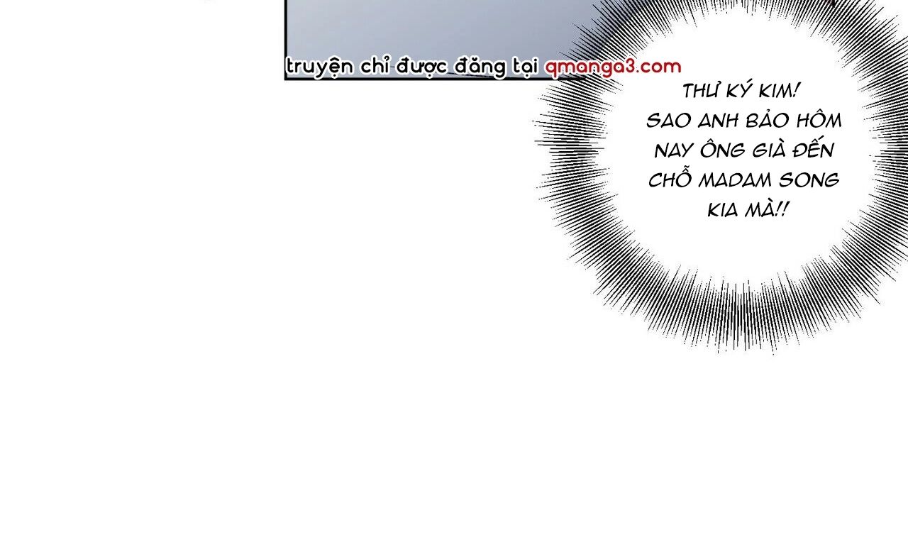 chàng dâu nhà họ kang chapter 20 47