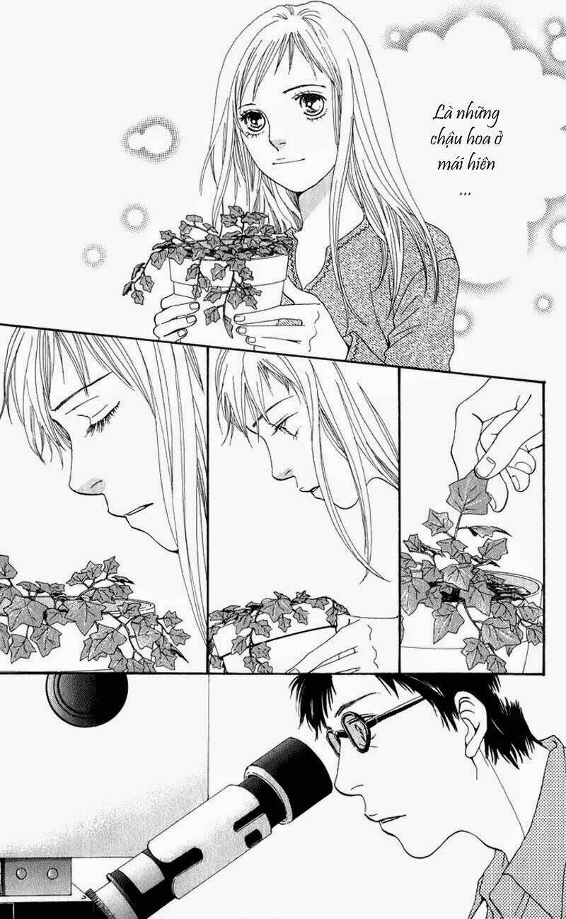 cat street chapter 12 13