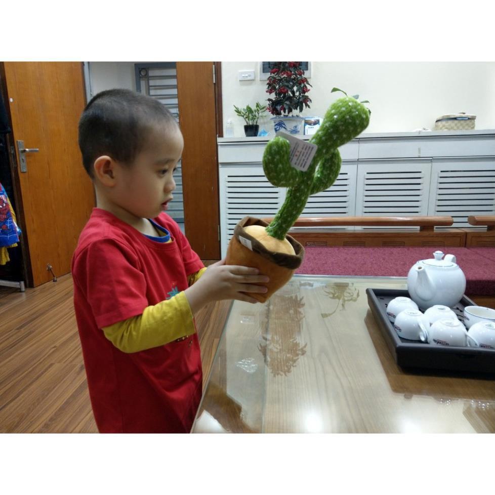 Cây Xương Rồng Khiêu Vũ Nhảy Múa Phát Ra Âm Thanh Vui Nhộn, có thu âm nhại tiếng nói