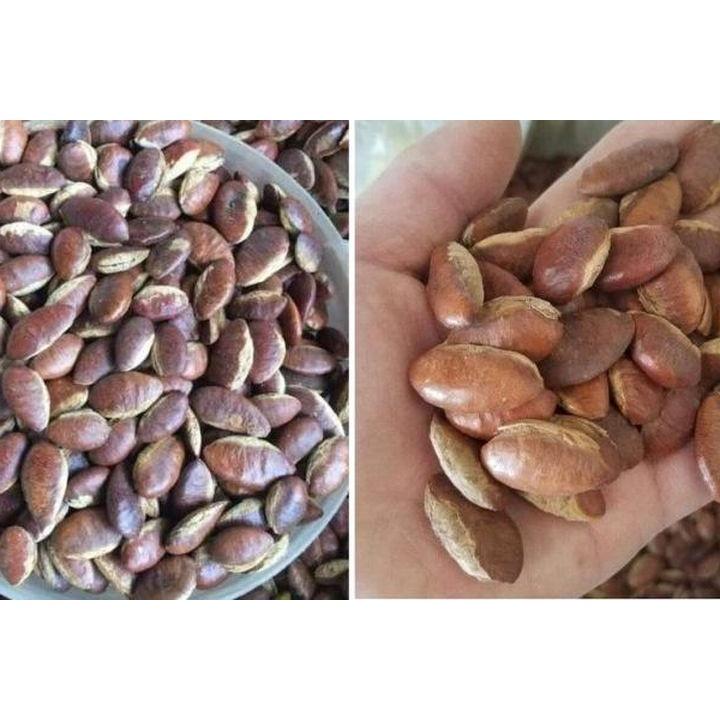500 GRAM HẠT Kơ Nia Rừng loại 1 *