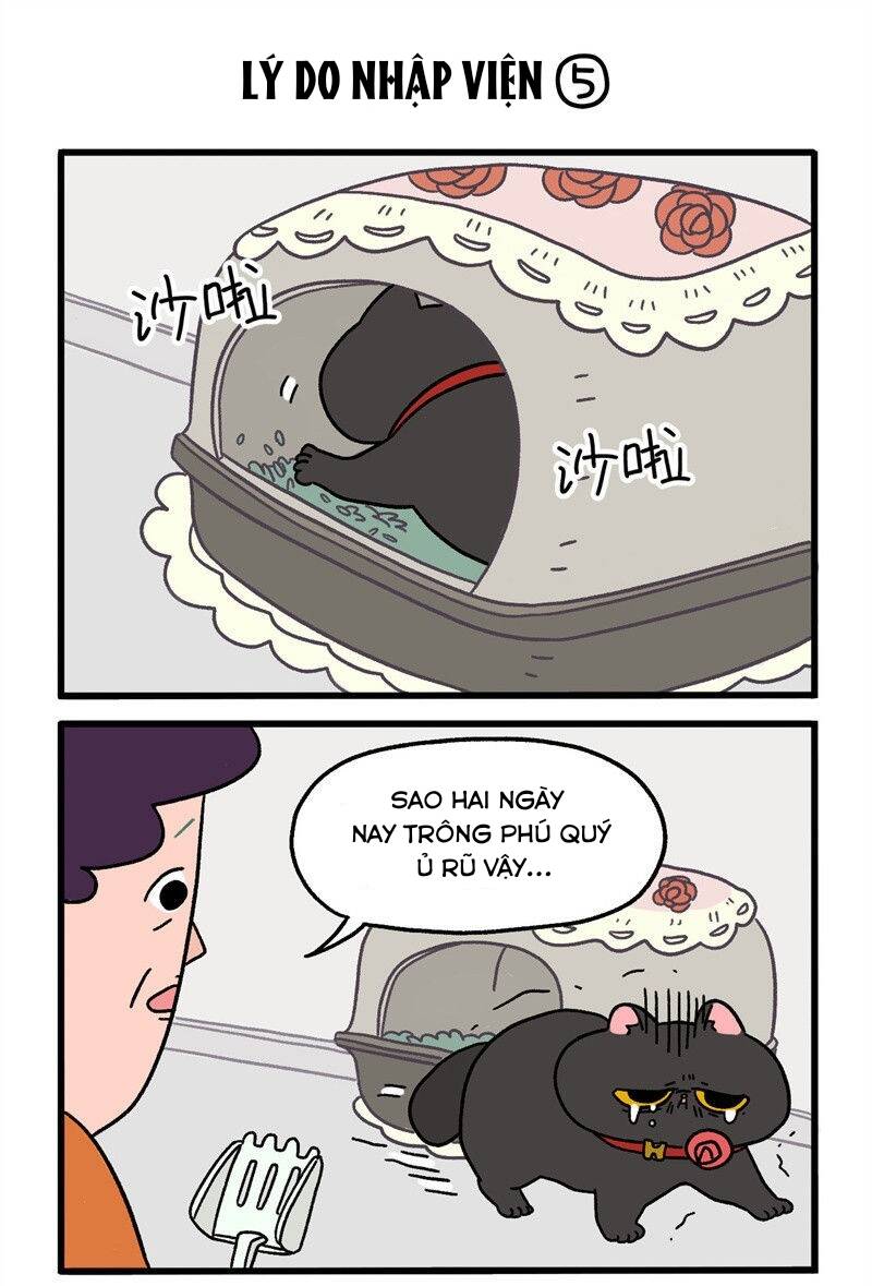 a mãn và mạch trà chapter 16.1 3