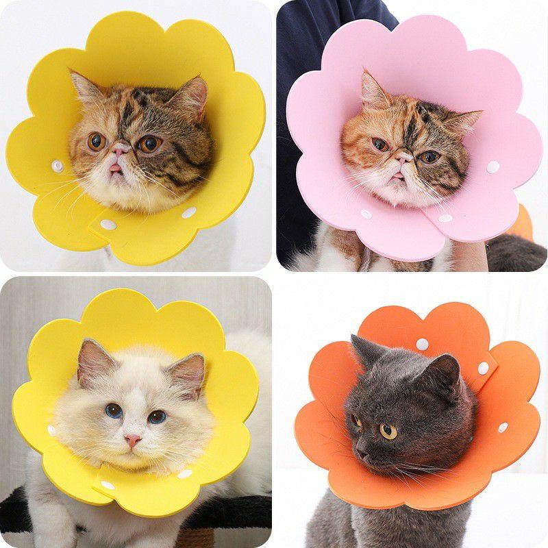 Vòng loa chống liếm hình bông hoa cho chó mèo thú cưng