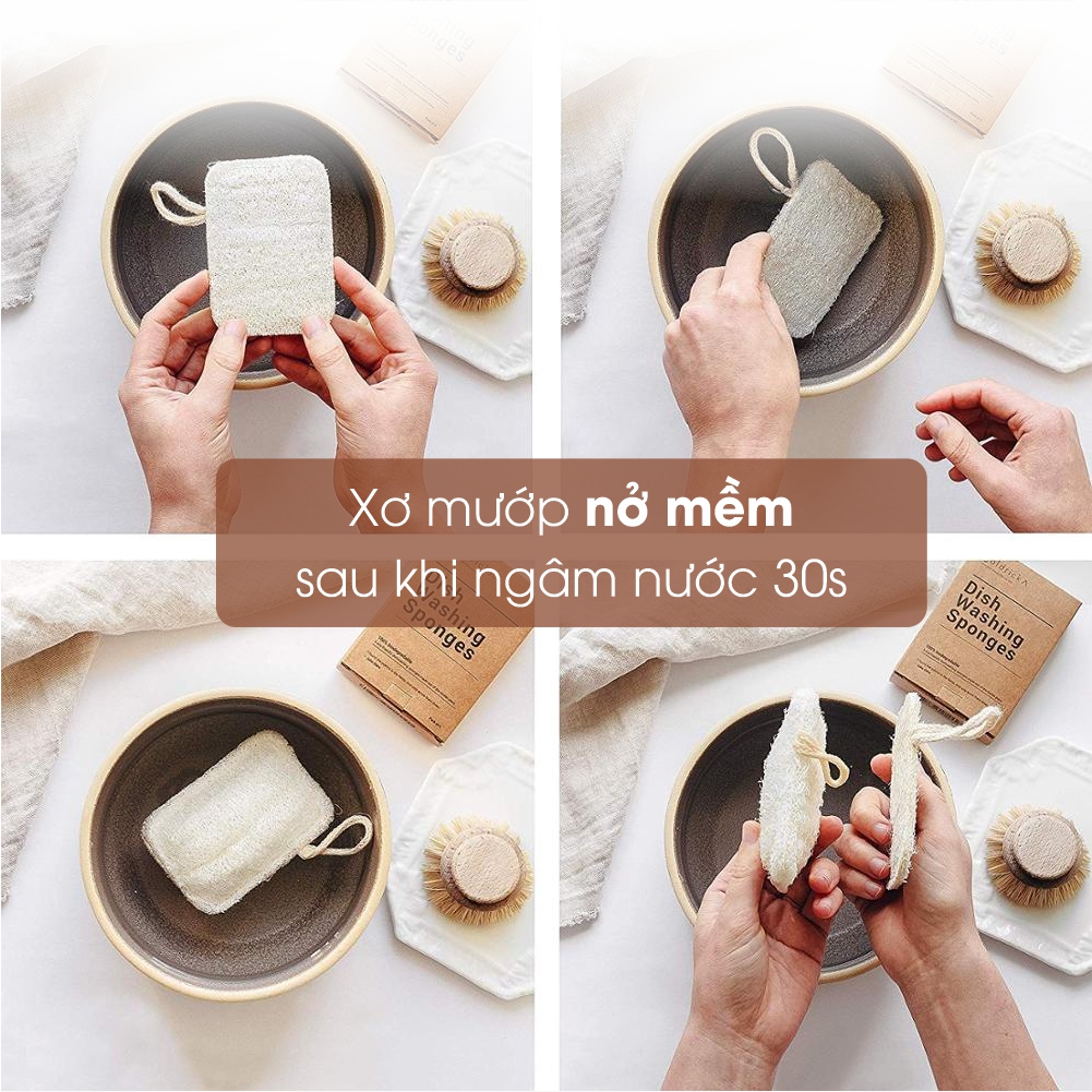 [PHIÊN BẢN MỚI] Xơ Mướp Rửa Chén Bát Xoong Nồi Cao Cấp - 100% xơ mướp hữu cơ, kích thước lớn, chỉ may chắc chắn THÂN THIỆN MÔI TRƯỜNG