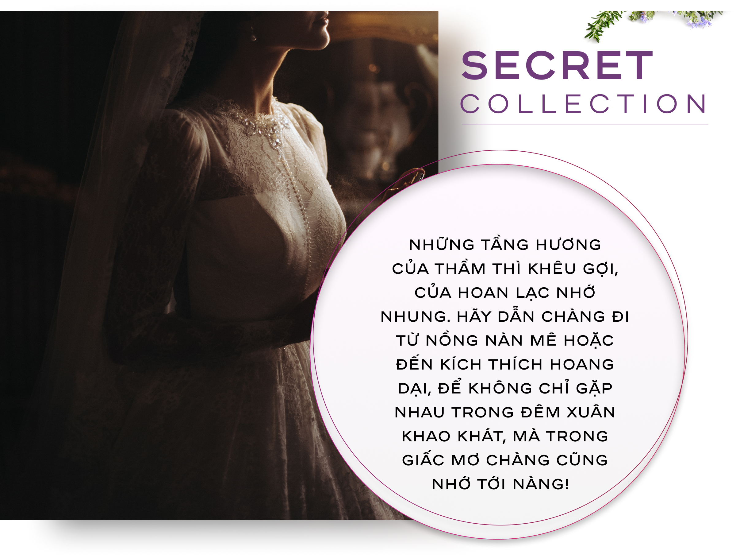 Nước hoa vùng kín nữ cao cấp chính hãng Zlove Secret 5ml với hương thơm ngọt ngào, quyến rũ, nữ tính