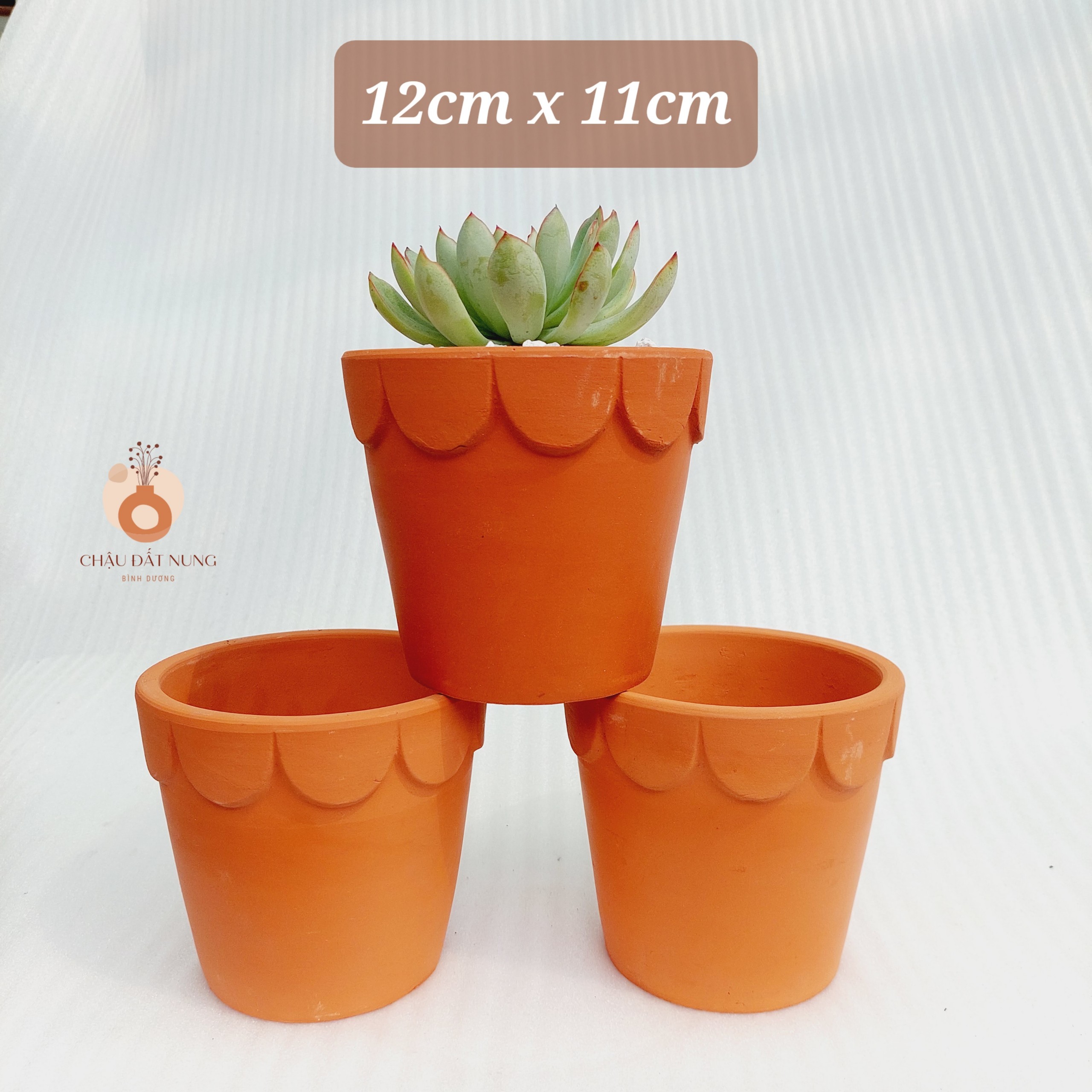 Chậu đất nung - Ly gờ hoa, miệng chậu 12cm, chiều cao 11cm