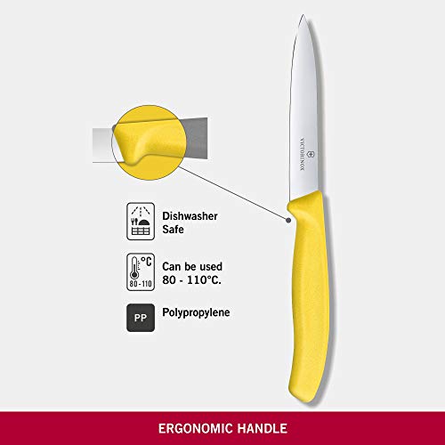 Dao bếp Victorinox Paring Knives (Pointed trip, 10cm) 6.7706.L118