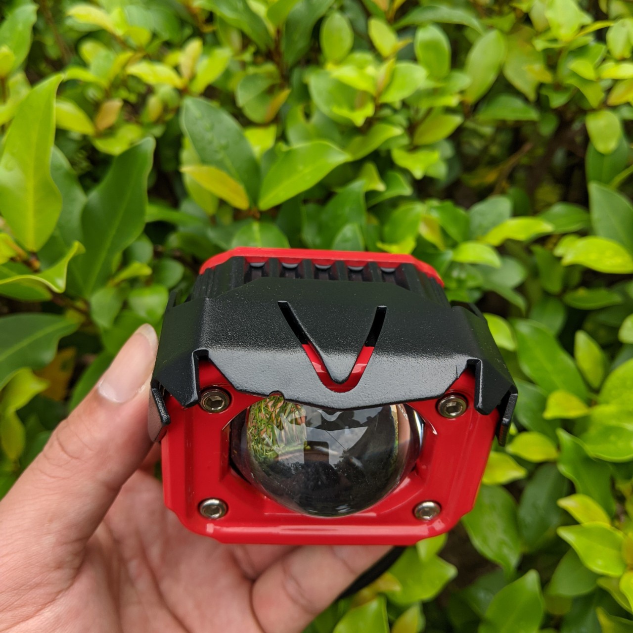 Đèn bi cầu 2 màu cốt vàng pha trắng F20xp 60w siêu sáng chống nước dành cho khách vip