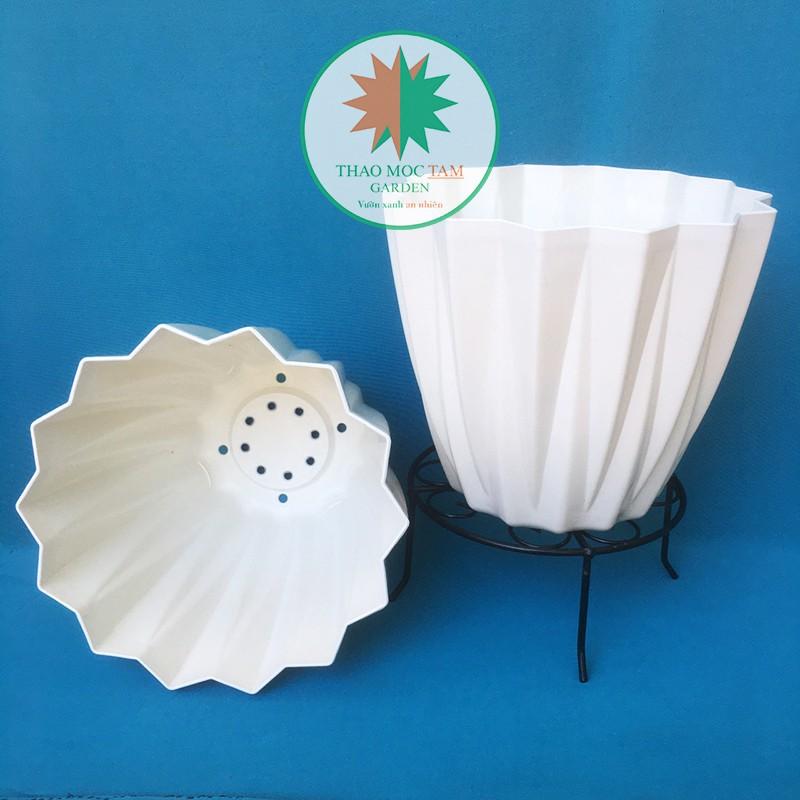 02c Chậu Kim Cương 25x22cm cạnh khế – Chậu nhựa kim cương nhiều cạnh, trồng hoa, cây kiểng trang trí sang trọng