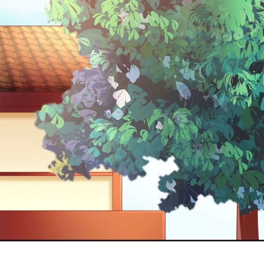 từ đây vương gia không thượng triều sớm chapter 102 21