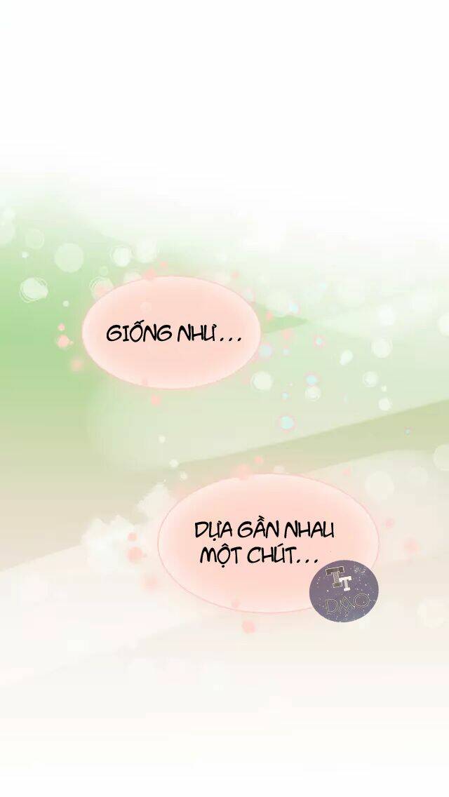 tân lang yếu tòng tiểu dưỡng khởi chapter 8 19