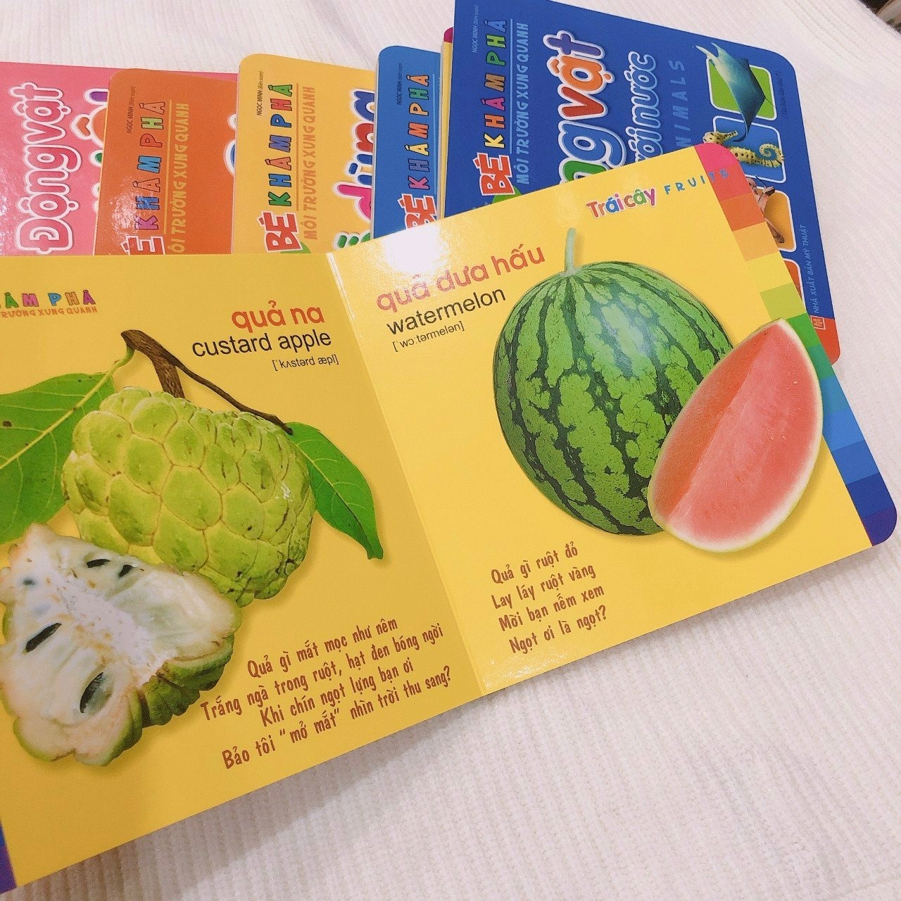 Bé khám phá môi trường xung quanh - Trái cây