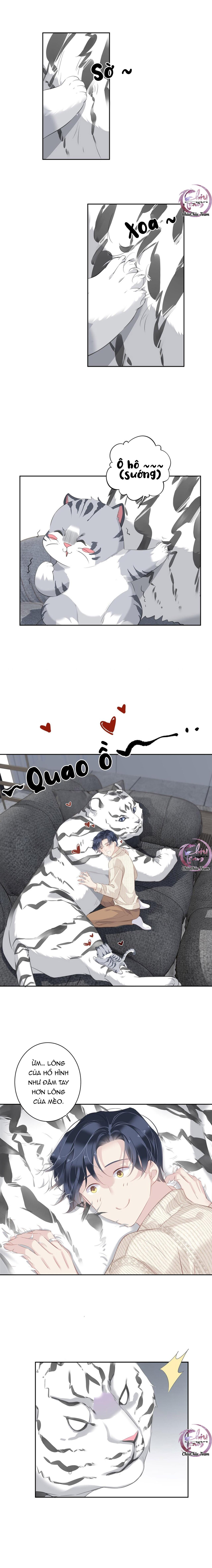 cuộc mai mối vượt giống loài chapter 35 7