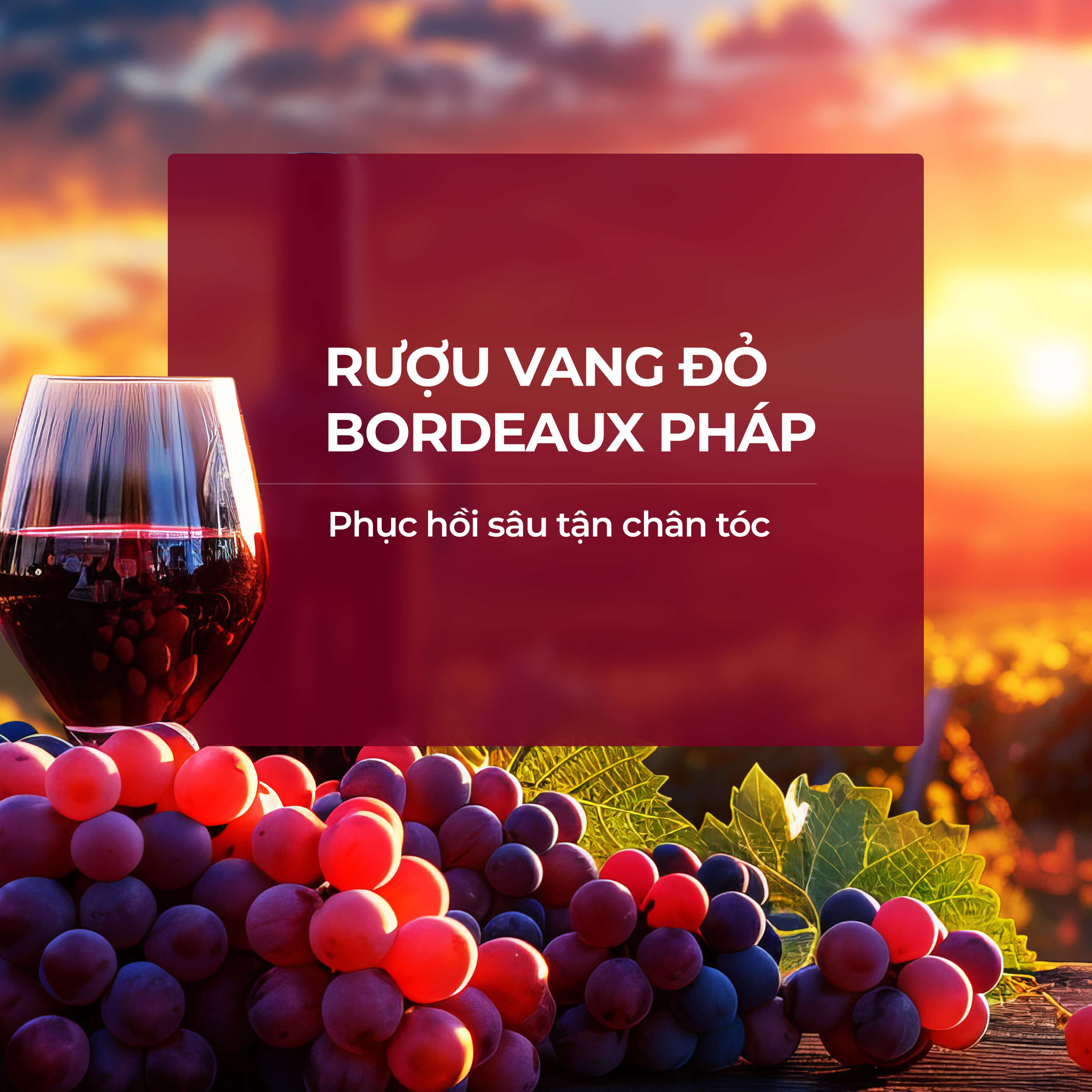 Dầu Gội Phục Hồi Tóc Hư Tổn, Ngăn Gãy Rụng NATUFRÈS French Chic Chiết Xuất Rượu Vang Đỏ Pháp - 250ml / 450ml