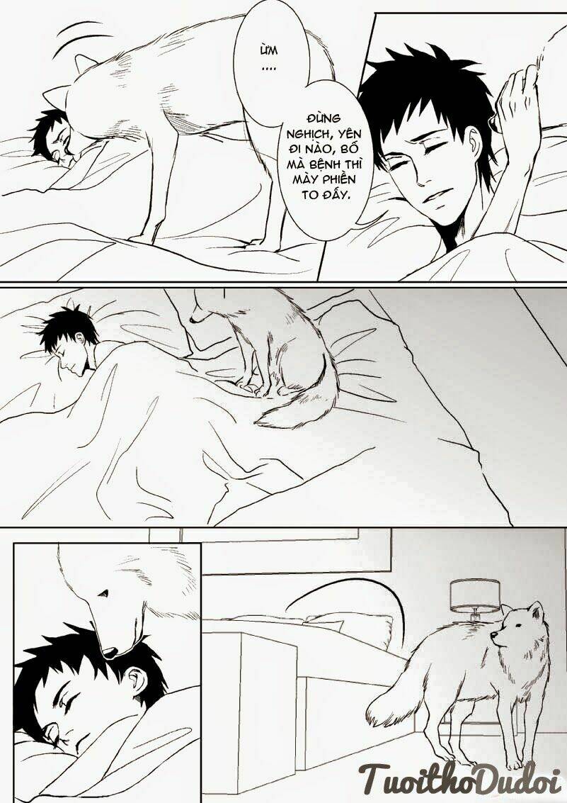 sự mê hoặc của sói chapter 16 8