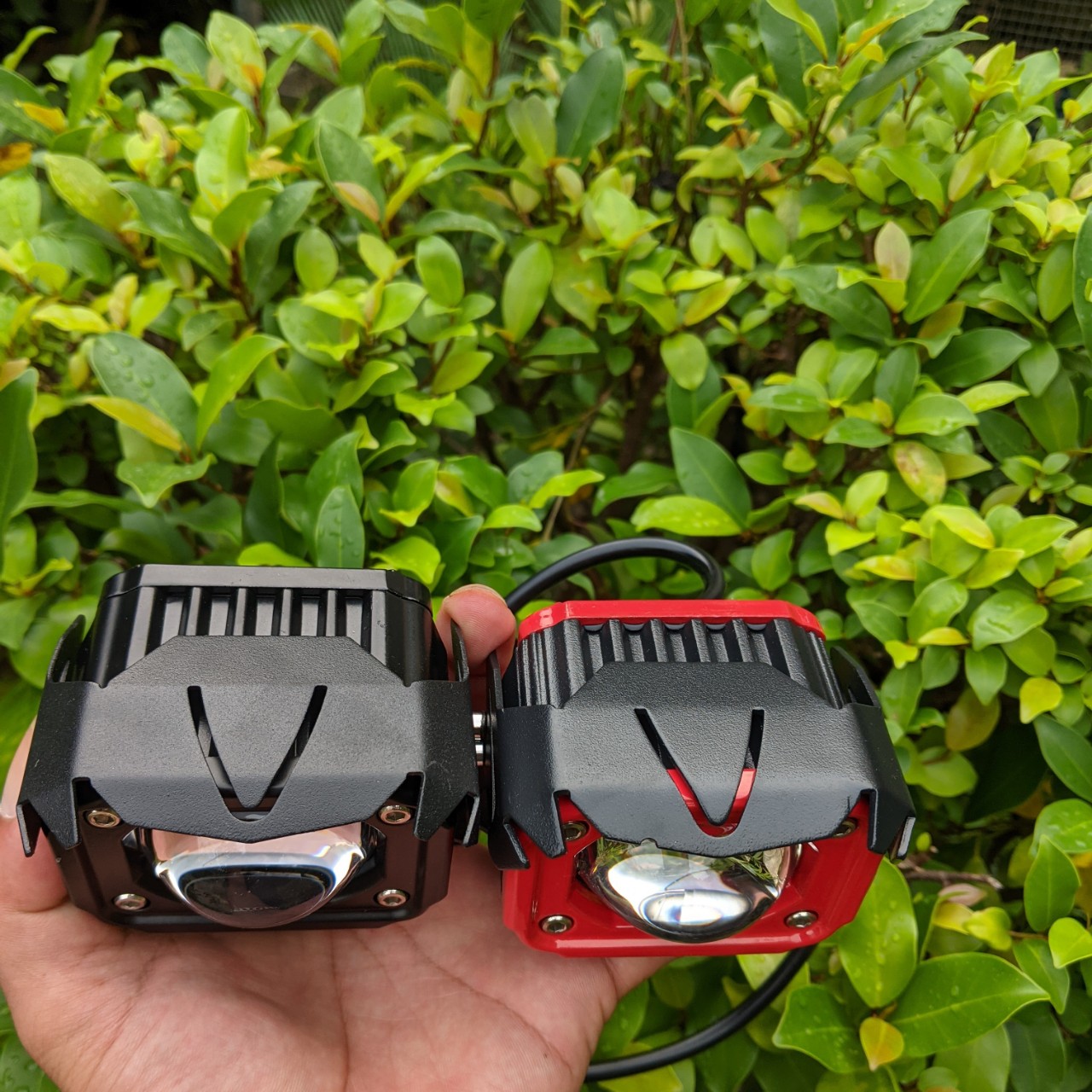 Đèn bi cầu 2 màu cốt vàng pha trắng F20xp 60w siêu sáng chống nước dành cho khách vip