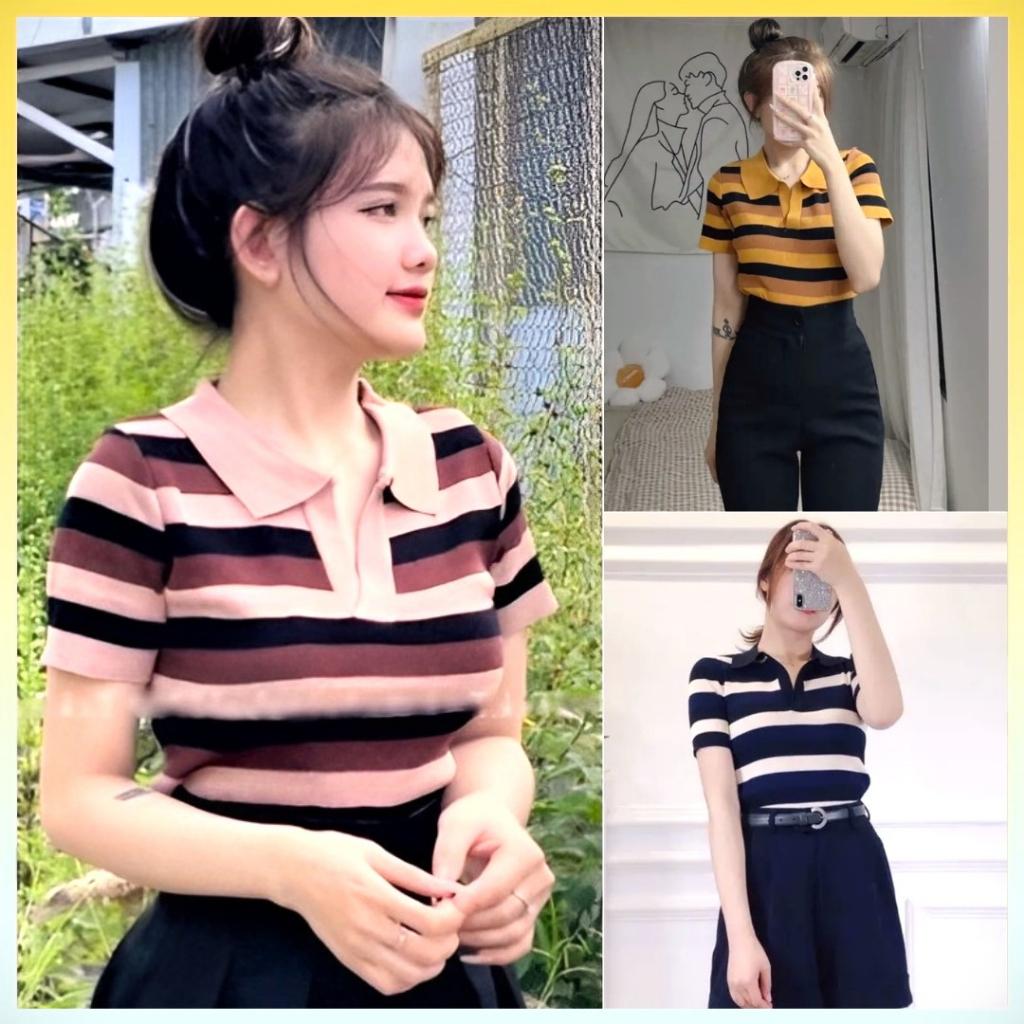 Áo len Montoghi dệt kim cổ đức SỌC 3 MÀU phối ĐỀU phong cách thanh lịch