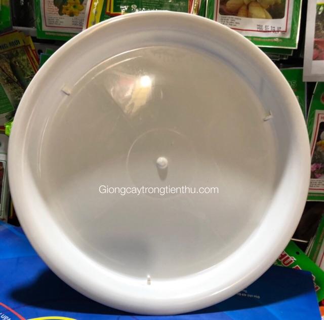 ĐĨA LÓT CHẬU CÂY CẢNH PHI 35