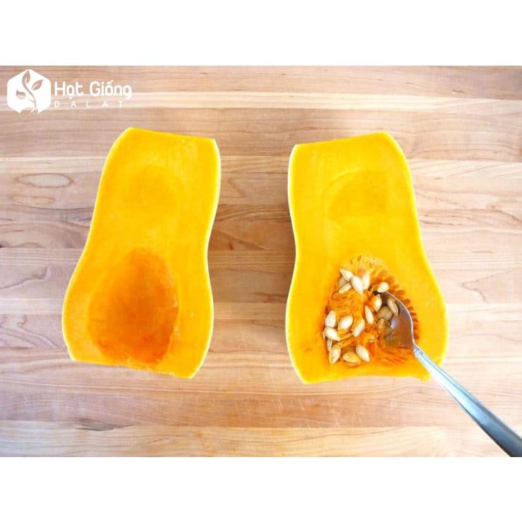 HẠT GIỐNG BÍ ĐỎ HẠT ĐẬU
