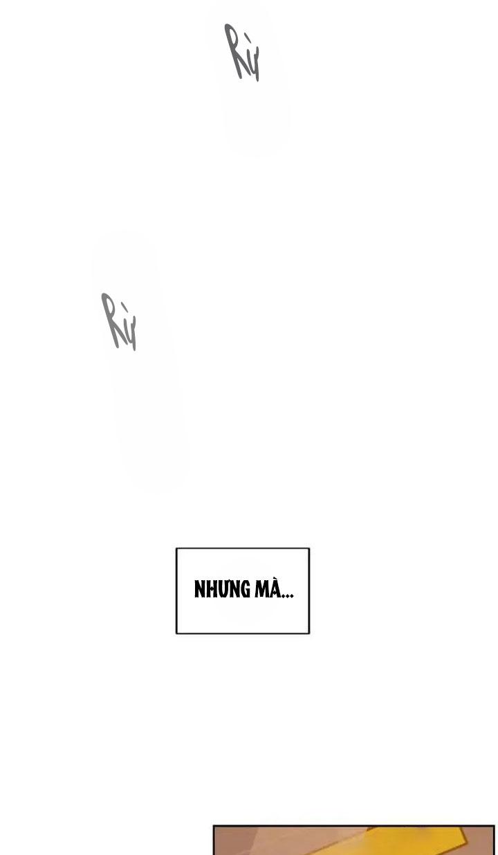 đối tác cơ thể hoàn hảo chapter 19 22