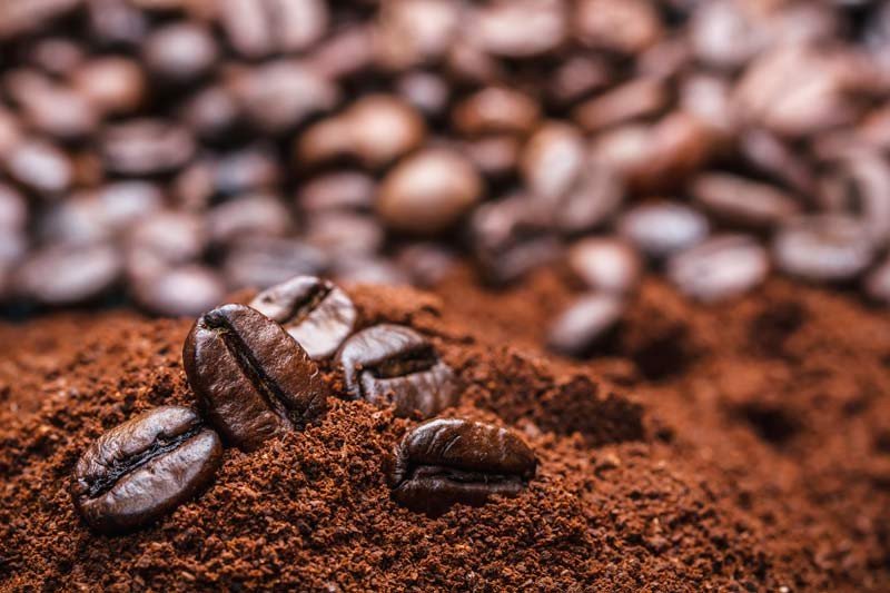 Cà Phê Ngovina - Robusta Buôn Ma Thuột- 1Kg