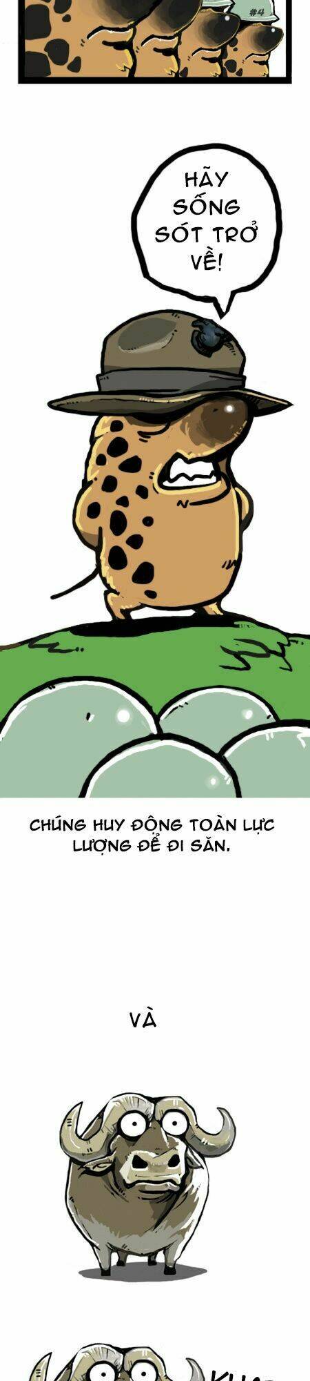 earth, human, and animal chapter 9 13