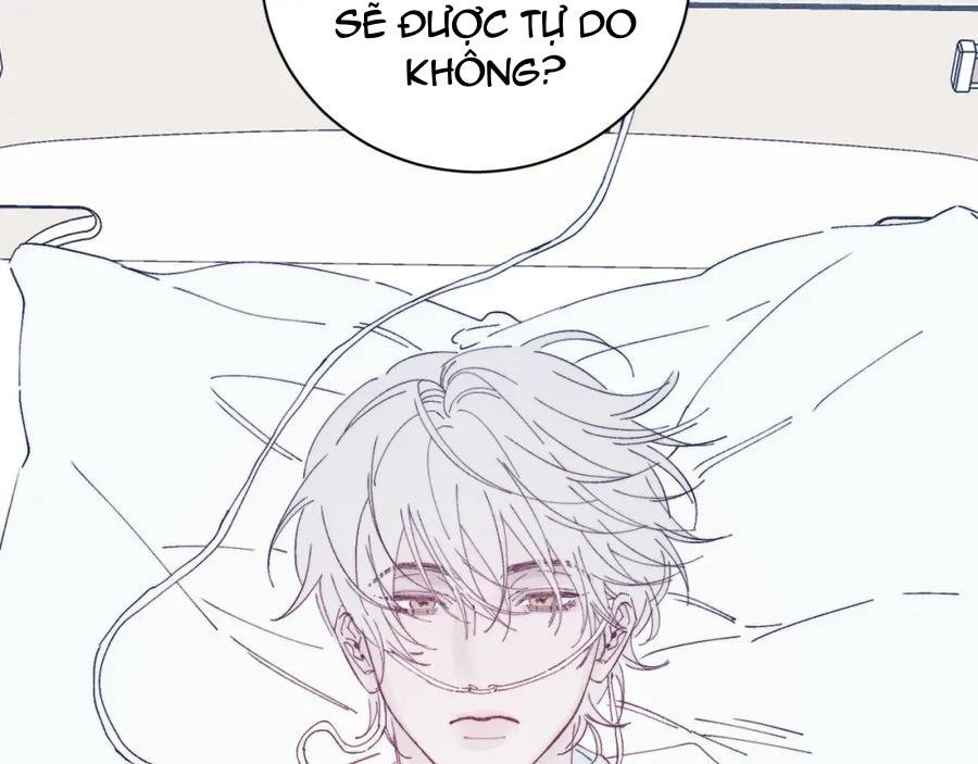 mùa xuân đang đến chapter 105 69