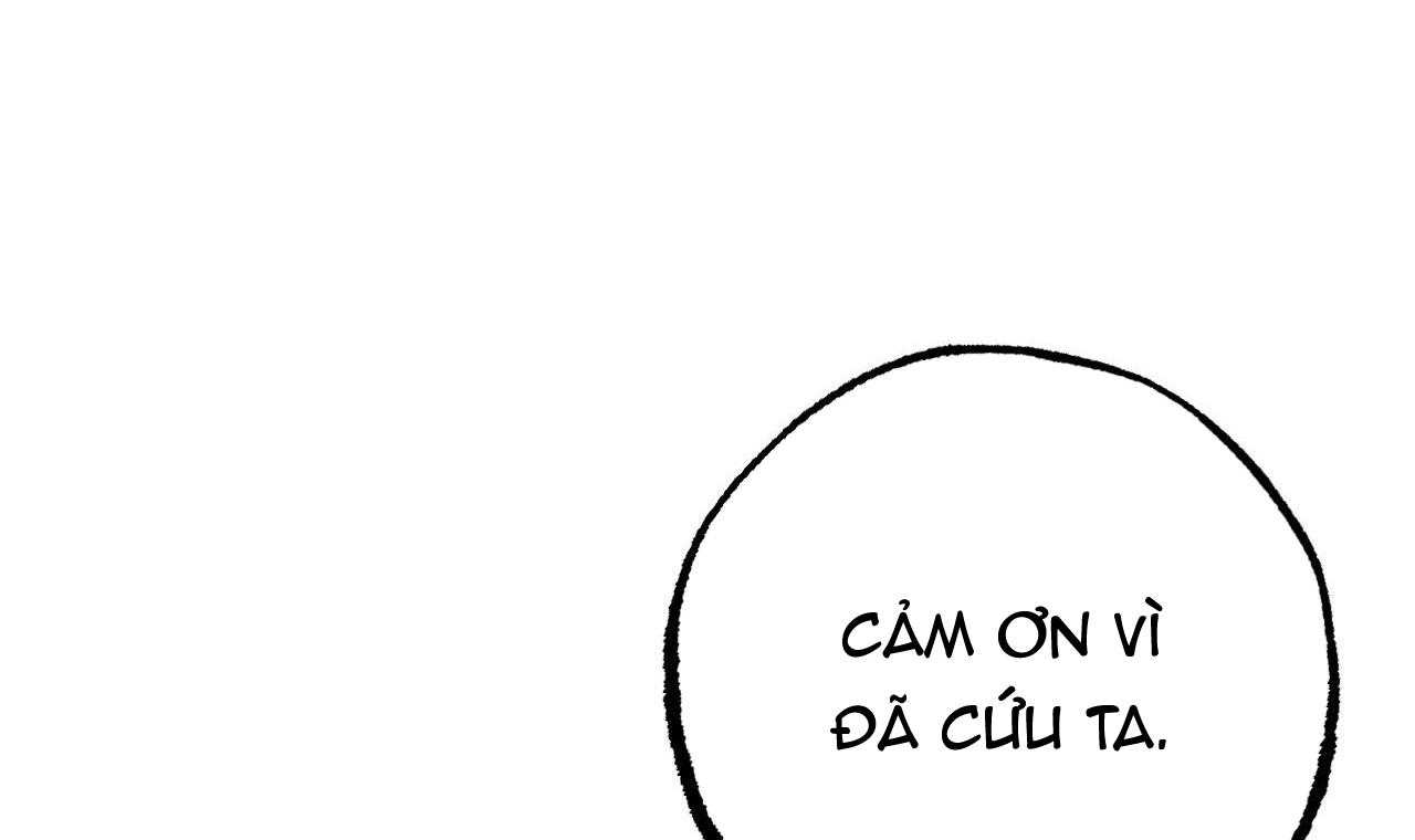 đàn thỏ của habibi chapter 37 247