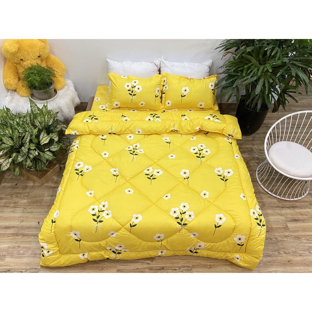 Sét chăn ga bọc đệm kèm 2 gối cottong poly nhiều kích thước